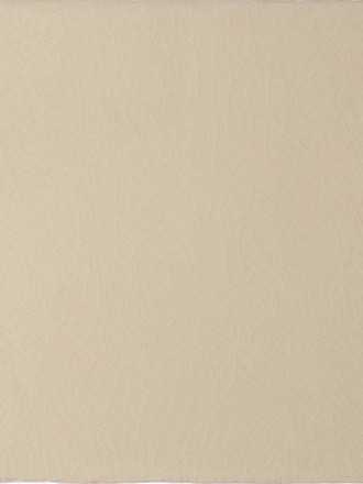 Carrelage mural ancien brillant gris 10 x 10 cm - PR0809022