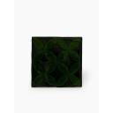 Carrelage 15x15 cm mat AB2204050