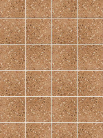 Fliese im Retrostil - NO20010180