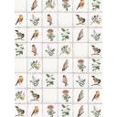 Faïence style ancienne blanche - AG2208030