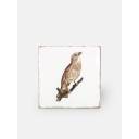 Faïence style ancienne blanche - AG2208030