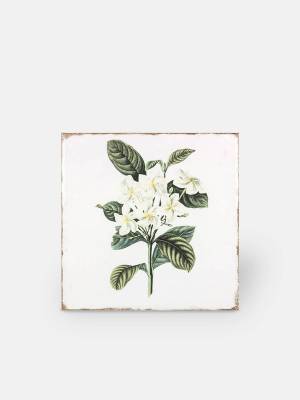 Faïence style ancienne avec fleurs - AG2208032