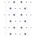 Carrelage hexagonal Etoile Blanche