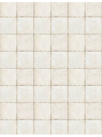 CARRELAGE STAR BLANC 45X45 - MA2303024