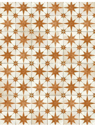 CARRELAGE STAR OXIDE 45X45 - MA2303261