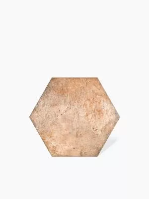 CARRELAGE TOMETTE UNI TERRACOTA 19.8X22.8 - MA2303275