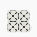 FLIESE BLUME GEO 22.3X22.3 - MA2303321