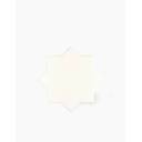 CARRELAGE POINCON BLANC 13.6X13.6 - MA2303689