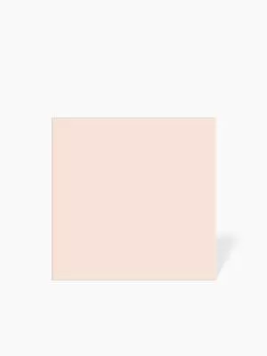 MATTE LACHSFARBENE FLIESE 250X20 CM - MA2303766