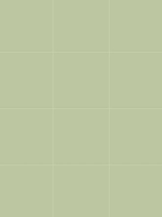 MATTE LACHSFARBENE FLIESE 250X20 CM - MA2303766