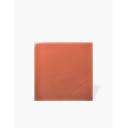 CARRELAGE SQUARE CORAL 12.5X12.5 CM - MA2303461