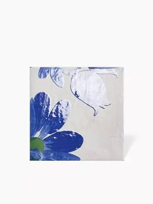 Fliesen Blau 20x20 cm - MA2303647