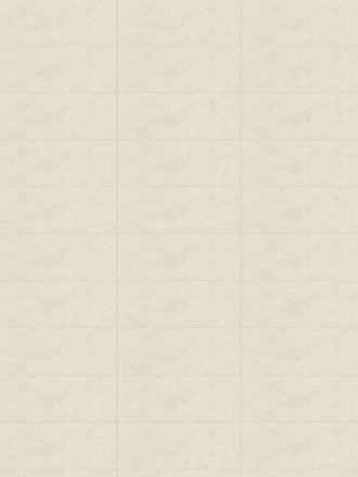 CARREAU CIMENT GRIEGE 45X120 CM - MA2303286