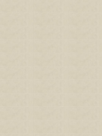 CARREAU CIMENT BEIGE 45X120 CM - MA2303287