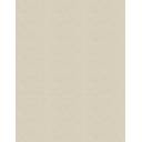 CARREAU CIMENT BEIGE 45X120 CM - MA2303287