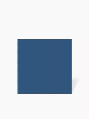 CARRELAGE BLEU MAT 20X20 - MA2303788