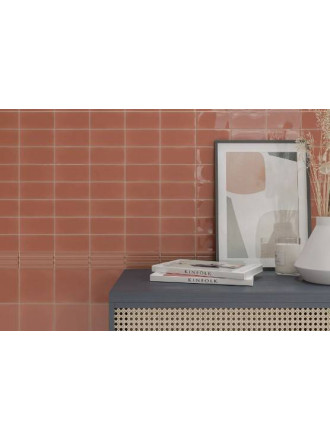 CARRELAGE ONDULÉ CORAL 6.2X12.5 CM - MA2303469