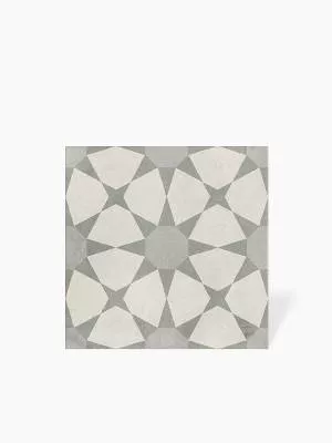 FLIESE BLUME GEO 22.3X22.3 - MA2303321