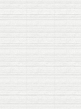 CARRELAGE TRAIT HORIZONTAL BLANC BRUT 33.3X100 CM - MA2303284