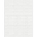 CARRELAGE TRAIT HORIZONTAL BLANC BRUT 33.3X100 CM - MA2303284