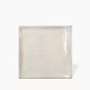 CARRELAGE INDIAN BLANC BRILLANT 22.5X22.5 CM - MA2303506