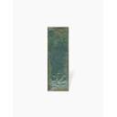 CARRELAGE RIVIÈRE VERT BRILLANT 10X20 CM - MA2303533