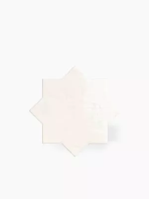 CARRELAGE POINÇON BLANC 18X18 - MA2303733