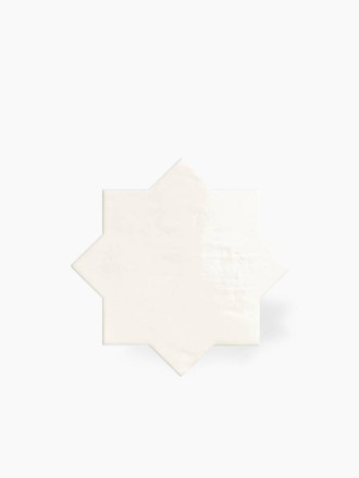 CARRELAGE POINÇON BLANC 18X18 - MA2303733