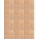 CARRELAGE ARGILE TERRACOTA 22.5X22.5 - MA2303743