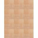 CARRELAGE ARGILE TERRACOTA 22.5X22.5 - MA2303743