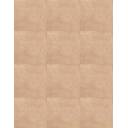 CARRELAGE ARGILE TERRACOTA 45X45 - MA2303741