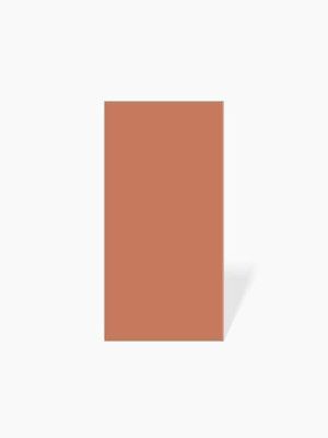 CARRELAGE ROUGE MAT RECTIFIE 60 X 120 - MA2306001 