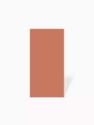CARRELAGE ROUGE MAT RECTIFIE 60 X 120 - MA2306001