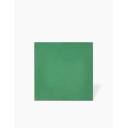 CARREAU DE CIMENT UNI VERT- 20CM X 20CM - JU0106288