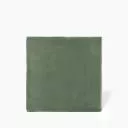 CARRELAGE PASSION-VERT PRAIRIE BRILLANT 10X10 - JU2107011