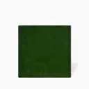 CARRELAGE PASSION-EMERALD GREEN BRILLANT 10X10 - JU2107015