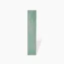 CARRELAGE PASSION - VERT AMANDE BRILLANT 5X25 - JU2107017