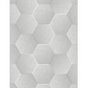 CARRELAGE HEXAGONAL VENECIA BLANC 22X25 CM - FV2702006