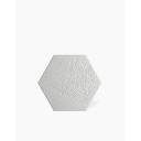 CARRELAGE HEXAGONAL VENECIA BLANC 22X25 CM - FV2702006